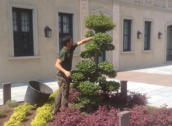 Giardino curato da Fugazza Giardinaggio