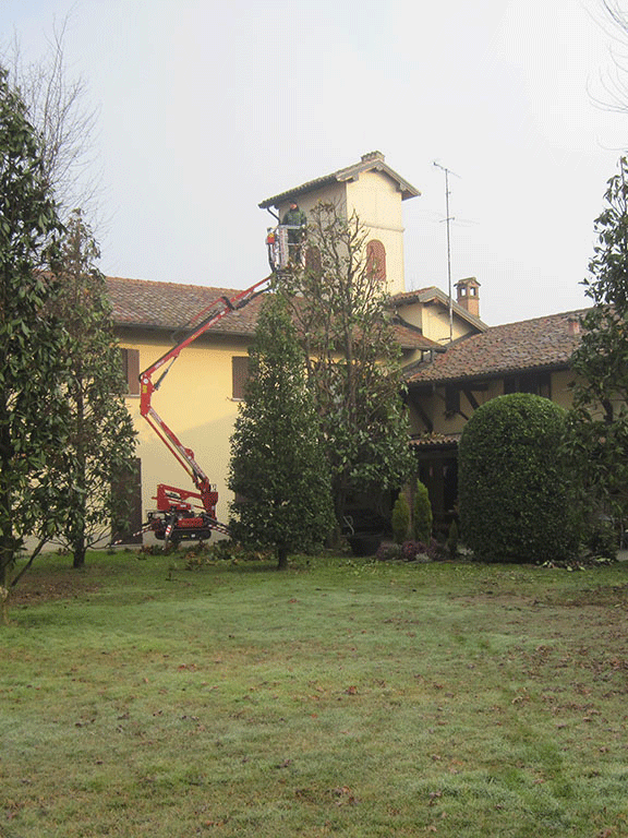Potatura professionale alberi e siepi | Fugazza Giardinaggio