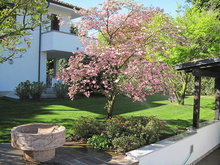 Manutenzione professionale giardini | Fugazza Giardinaggio