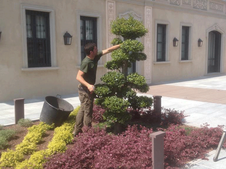 Manutenzione professionale giardini | Fugazza Giardinaggio