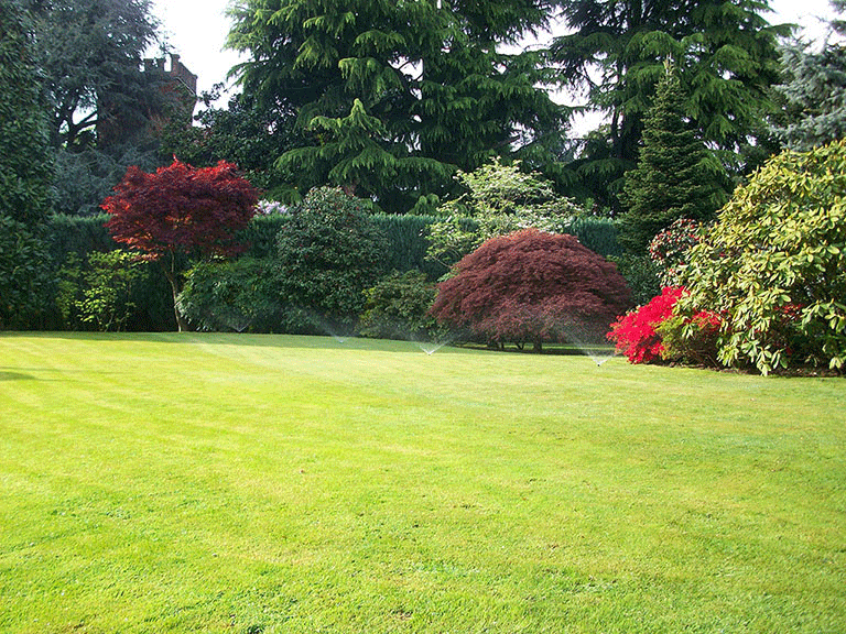 Manutenzione professionale giardini | Fugazza Giardinaggio