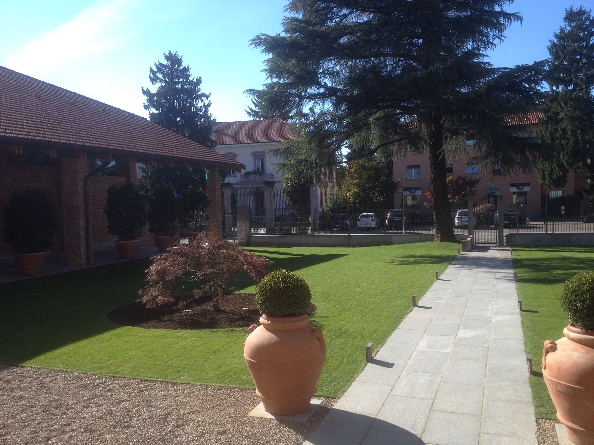 Potatura e cura alberi ad alto fusto